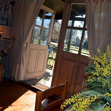 Gite Foret Landaise Sainte-Eulalie-en-Born Экстерьер фото