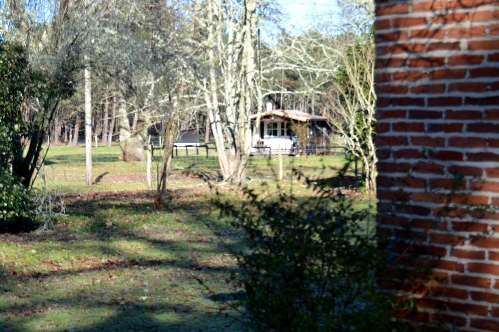 Gite Foret Landaise Sainte-Eulalie-en-Born Экстерьер фото